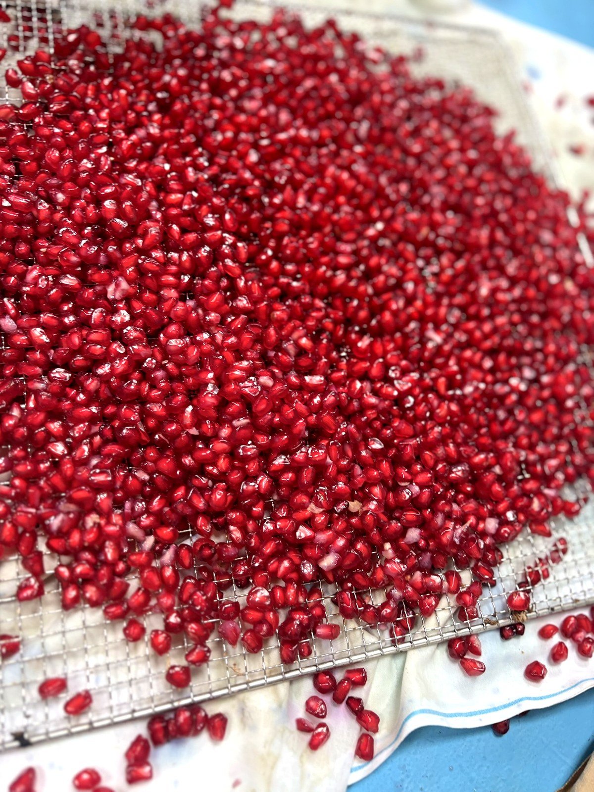Fresh pomegranate arils spread for inspection — Jetti's Fruit Land