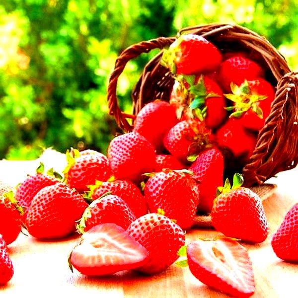 Strawberry Powder